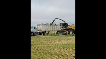 Ag producers manage schedules for early winter wheat harvest in erratic weather