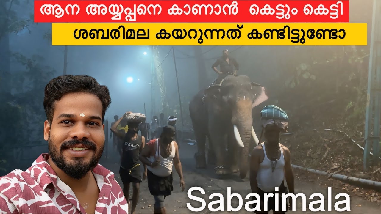 ആന അയ്യപ്പനെ കാണാൻ കെട്ടും കെട്ടി ശബരിമല കയറുന്നത് കണ്ടിട്ടുണ്ടോ | ayyappa | sabarimala | elephant