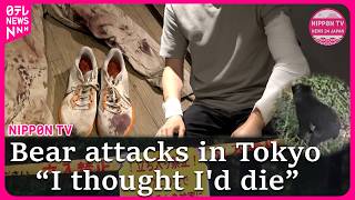 Russian man attacked by bear in Tokyo recalls terrifying moment: “I thought I was going to die”