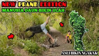 New Edition Bushman Prank || Paling Lucu Bikin Ngakak 🤣🤣 || Funny Video