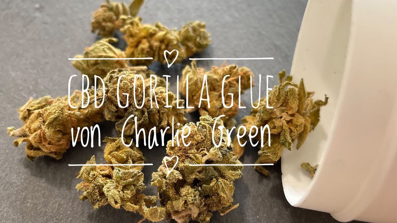 CBD Gorilla Glue von Charlie Green