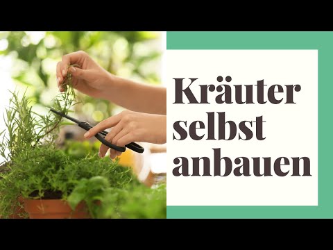 Video: Geschenke aus eigenem Anbau: Wie man eine Kräutermischung aus Kräutern der Provence herstellt