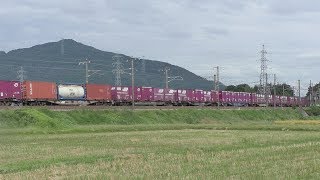 【JR貨物】１０７４レ ＥＦ２１０-１８ 海コン積載