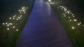 Solar Powered Firefly Light Outdoor Waterproof Garden Light Decorative Swaying Wind Dancing Lamp