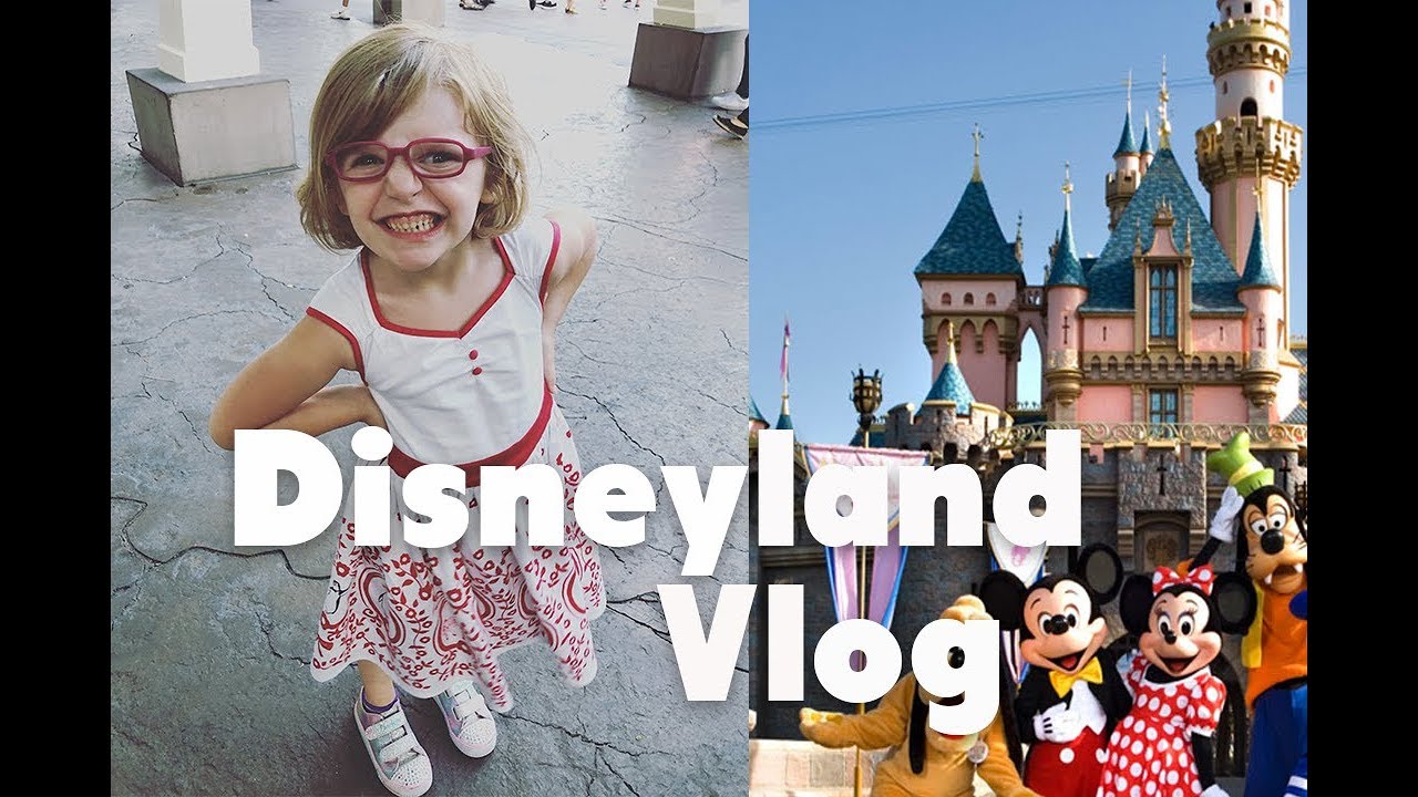 Disneyland Daddy Daycare Service