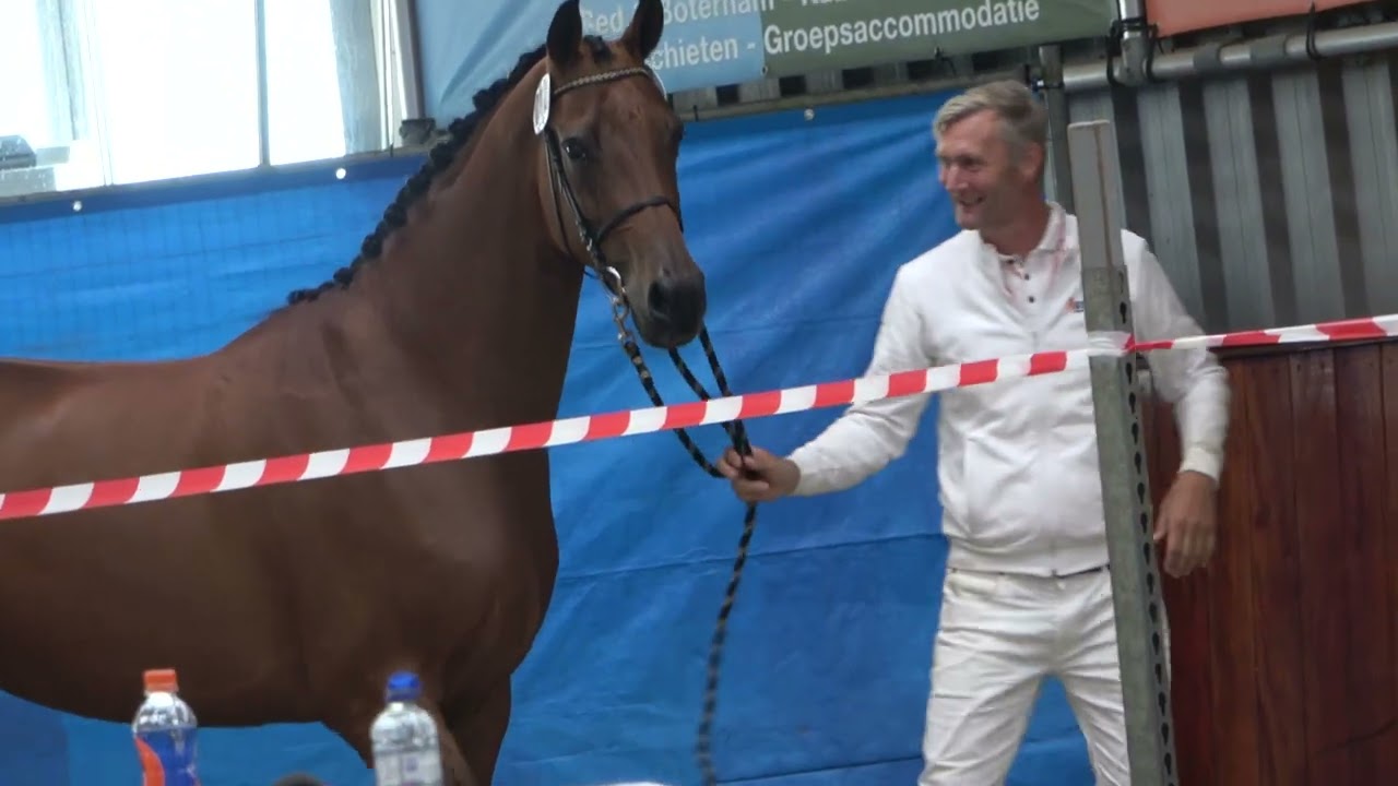 Sim stamboekkeuring vrijbewegen