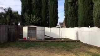 chicken shed coop diy