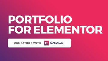 Easy update manager & php option Portfolio By Elementor
