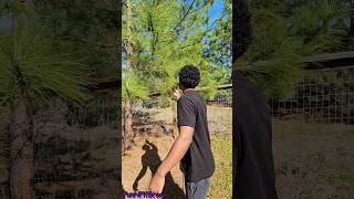 We're Fun N Fit #viral #trending #funny #shorts #youtube #memes #comedy #laugh #like #subscribe #fyp