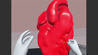 3D and VR hearts project