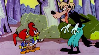 Little Red Riding Woody | Woody Woodpecker | 1 Hour Compilation