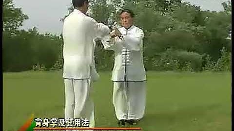 Baguazhang application