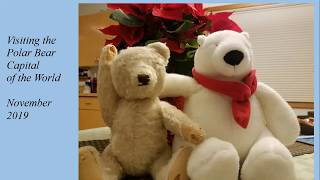 Visiting the Polar Bear Capital of the World