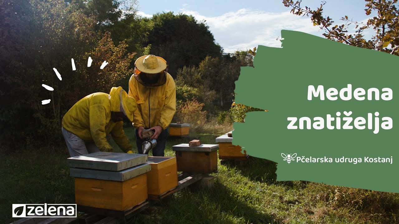 Zelena minuta S01 EP27 - Medena znatiželja