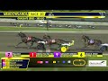 June 20, 2026 - Graduate Series 4YO Open Pace 3rd Leg - Race 10