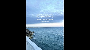 سورة الزمر الآية رقم ١٣                القارئ الشيخ عبد الرحمن مسعد#ذكر_الله #في #كل #مكان