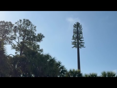 Golden Gate Estates neighbors clash over planned cell tower on Everglades Blvd North