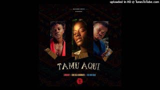 Benga Gang  Tamu Aqui  Lurhany X Chelsea Dinorath X Teo No Beat 