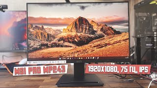 Монитор MSI Pro MP243. Нормальный универсальный монитор, но не за эти деньги. IPS, 75hz, FullHD