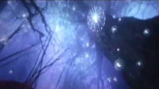 Cahaya Mata Hati Video