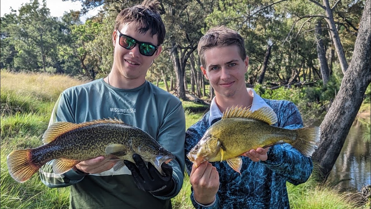 Murray cod fishing Tenterfield