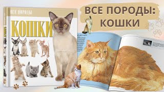 Книга-справочник Кошки: Все породы, иллюстрированная энциклопедия о домашних кошках