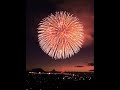Wishing you and your family good health in the new year！ #2024 #fireworks
