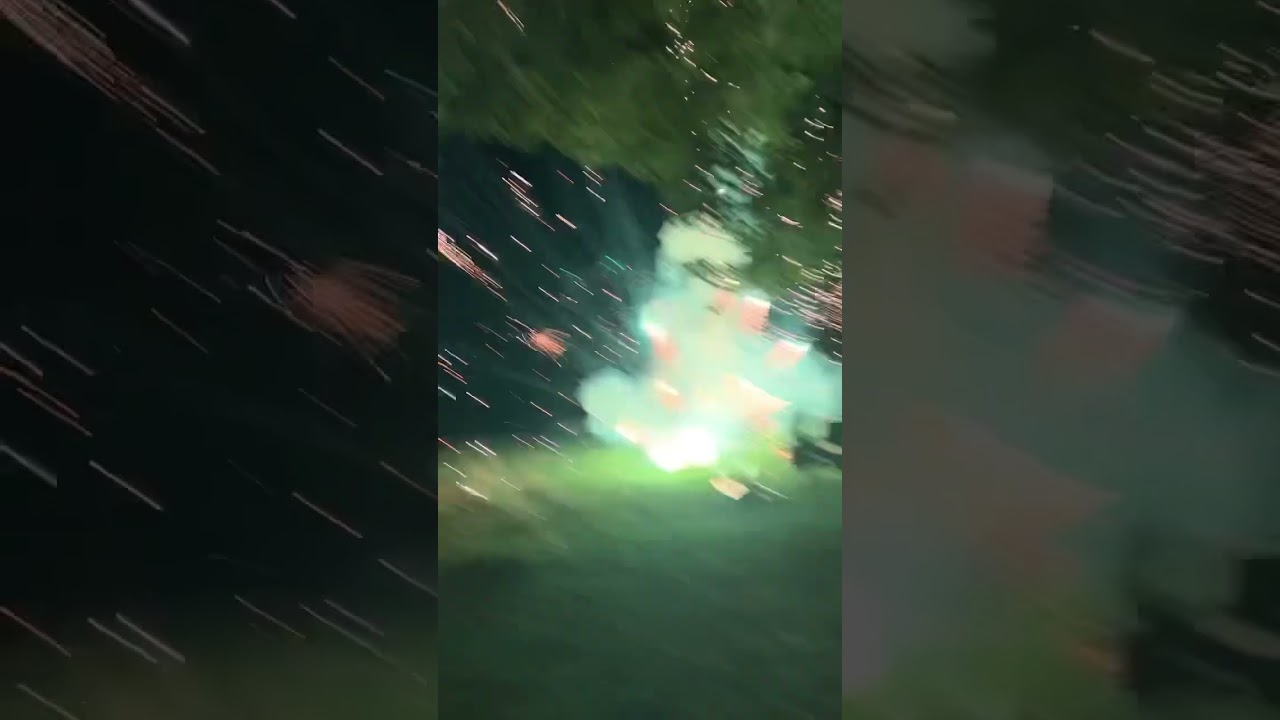 Dog grabs firework 