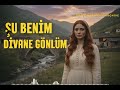 Şu Benim Divane Gönlüm | 70s Psychedelic Anatolian Rock Cover | Anatolian Rock Archive