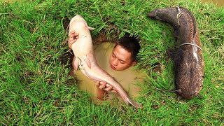 Build Fish Trap And Catch Catfish In Secret Hole By Smart Boy - Boy Catching Giant Big Fish In Hole