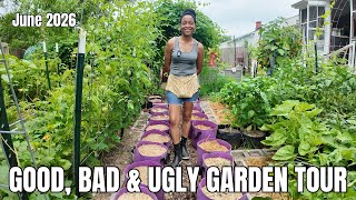 Full Urban Garden Tour | Living My Garden Dream (minus The Aphids & Ants 🤣) | Good, Bad & Ugly Tour