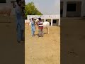 New fateh jangi bull 2025 #shorts #shorts #shortvideo #youtubeshorts #fatehjangibull #domail #cow