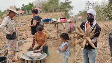 hnub no mus saib wb tu muam yawm yij lawv thaj teb qos ntoo