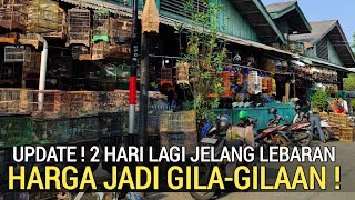 Pasar Burung  Gagal Mudik Kios Ini Obral Harganya Gilagilaan Di Pasar Burung Pramuka Hari Ini 