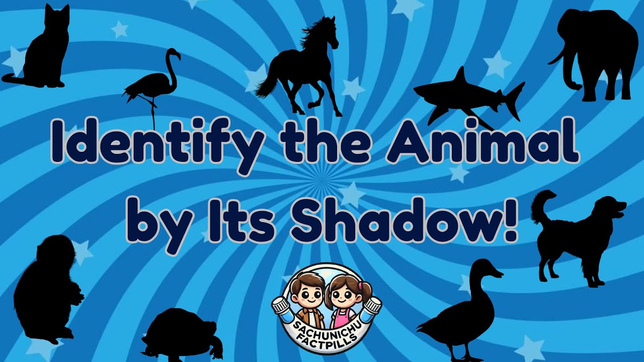 Identify the Animal by Its Shadow 🐾 | Easy, Medium & Hard Quiz | SachuNichuFactpills