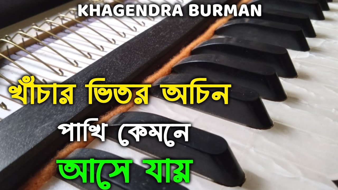 খাঁচার ভিতর অচিন পাখি কেমনে আসে যায়