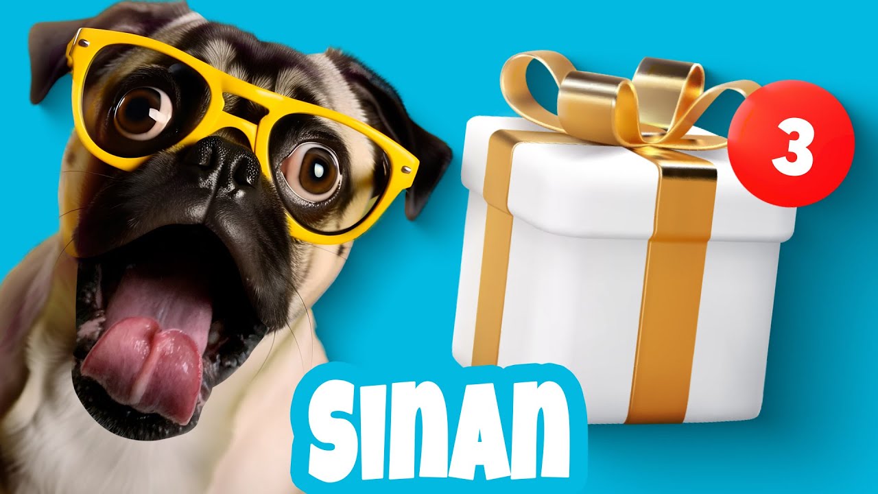 JOYEUX ANNIVERSAIRE SINAN - Chanson drôle par une meute de chiens déjantés 🎉
