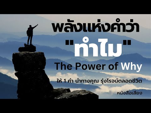 วีดีโอ: การตัดสินใจอย่างมีความรับผิดชอบโดยเจ้าของของเขาช่วยให้สุนัขตัวนี้หาบ้านกลับมาอีกครั้งหลังจากผ่านไปสองปีแล้ว