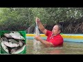 CATCHING FISH USING FISHING NET(LAMBAT) | Vlog#125
