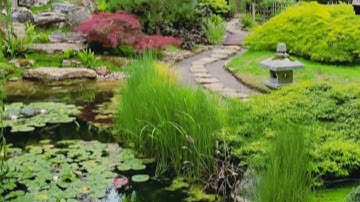 How to Service a Hozelock Easyclear in Pond Filter.