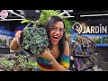 Vamos a un centro de jardinería en México y todo esto encontré SODIMAC | Candy Bu