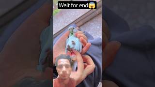 This Girl Help a Parrot