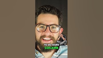 Neuroplasticity habits and dopamine