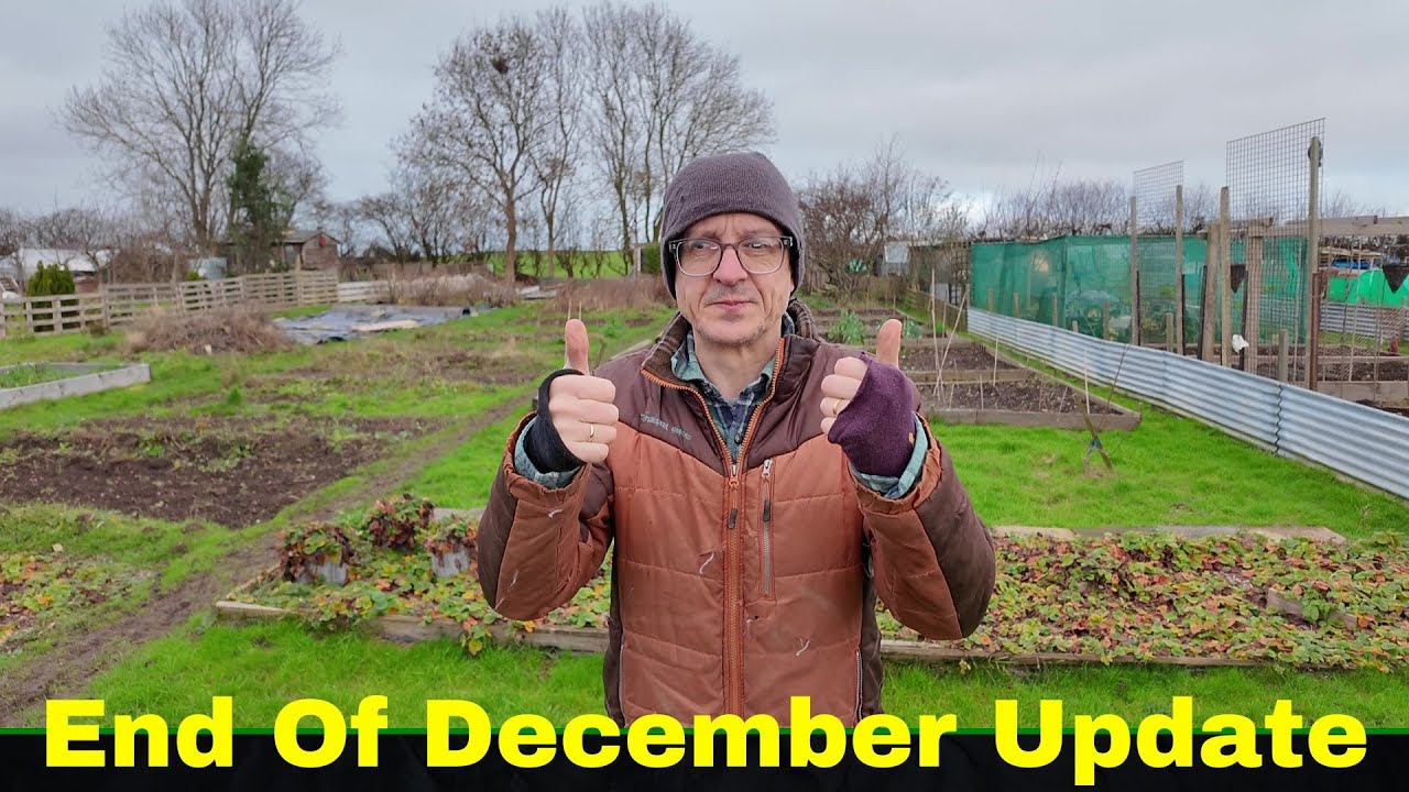 Садовый участок в декабре - Обновление информации о садовом участке в конце декабря - Плюс тестир...