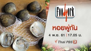 Foodwork : หอยพู่กัน (4 พ.ย. 61)