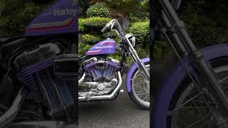 Custom Build Sawinggarage