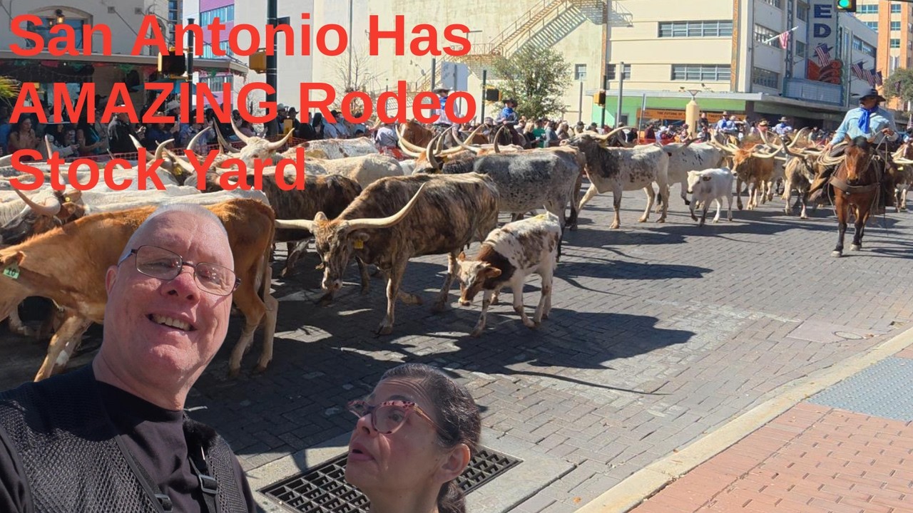 San Antonio Hosts AMAZING Western Heritage Parade and Cattle Drive