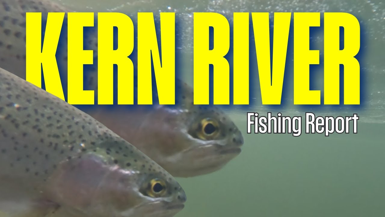 Рыбалка на реке Керн: текущие условия реки + лучшие зимние мушки