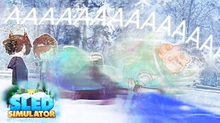 I CAN'T CONTROL THIS SLED / Sled Simulator