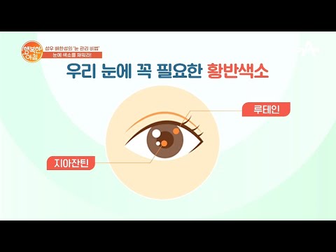 루테인과 <strong>OOOO</strong> | 행복한 아침 590 회